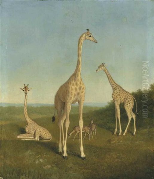 Giraffes With Impala In A Landscape Oil Painting by Jacques-Laurent Agasse