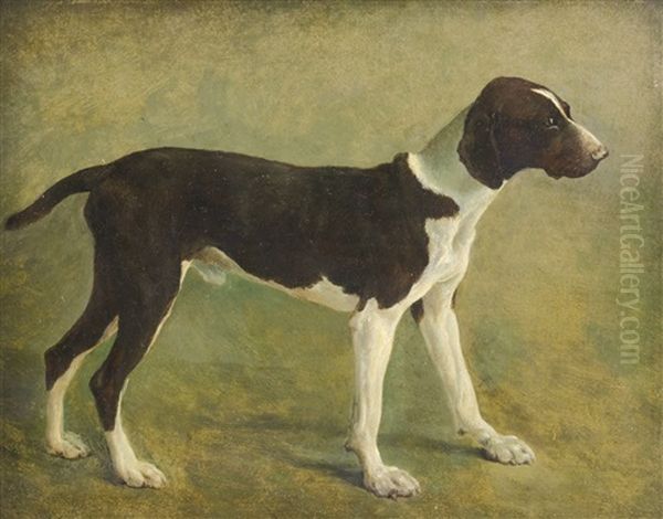 A Pointer Oil Painting by Jacques-Laurent Agasse