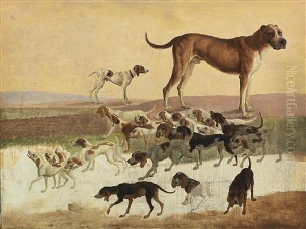 Study Of Dogs Oil Painting by Jacques-Laurent Agasse