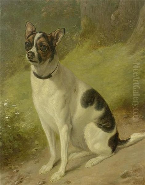 Etude D'un Chien Batard Oil Painting by Jacques-Laurent Agasse