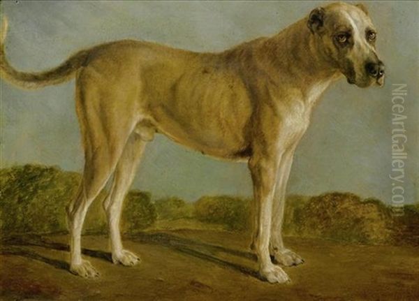 Jagdhund Oil Painting by Jacques-Laurent Agasse