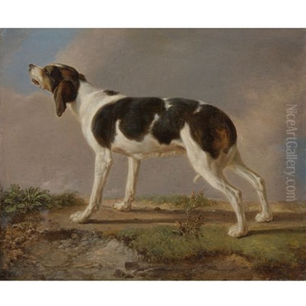 A Hunting Dog Oil Painting by Jacques-Laurent Agasse