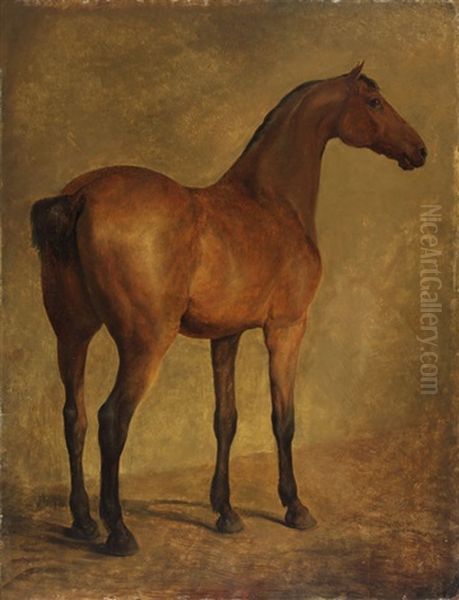 Cheval, Vu De Trois-quarts A Droite Oil Painting by Jacques-Laurent Agasse