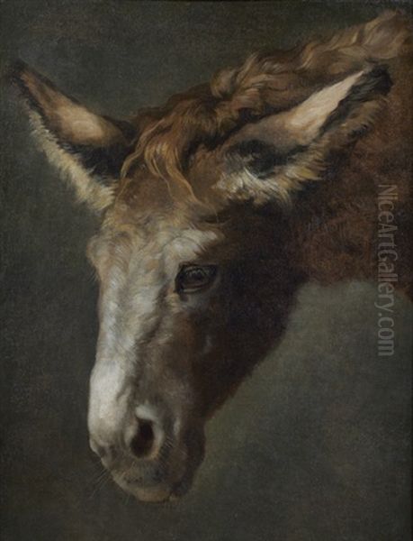 Ane (study) Oil Painting by Jacques-Laurent Agasse