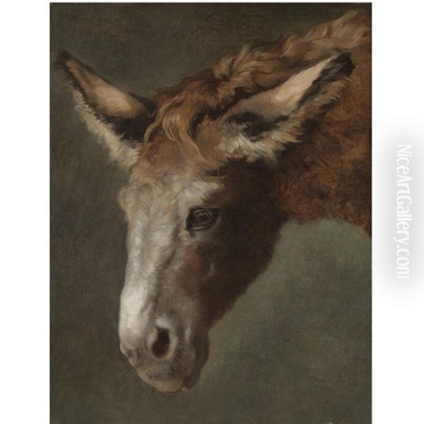 A Study For The Head Of A Donkey Oil Painting by Jacques-Laurent Agasse