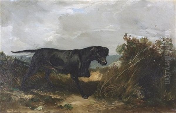 Labrador Auf Der Pirsch Oil Painting by Jacques-Laurent Agasse