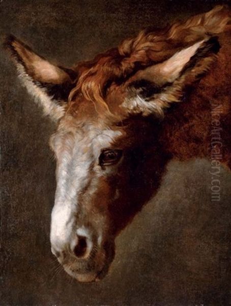 Head Of A Donkey Oil Painting by Jacques-Laurent Agasse