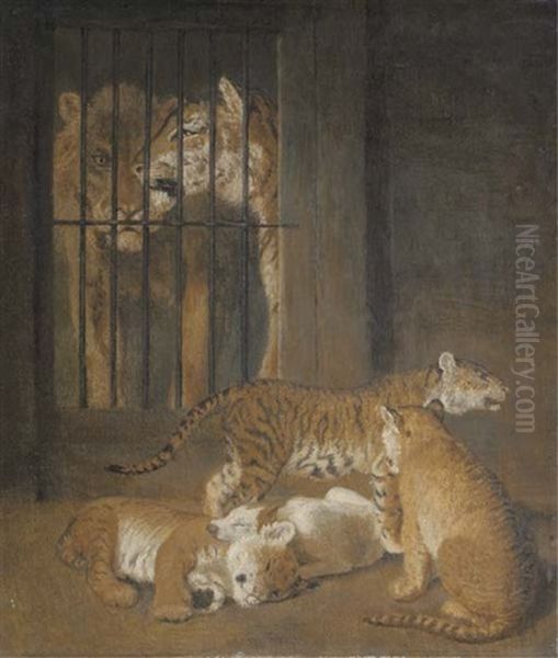 A Group Of Whelps Bred Between A Lion And A Tigress At Windsor Oil Painting by Jacques-Laurent Agasse