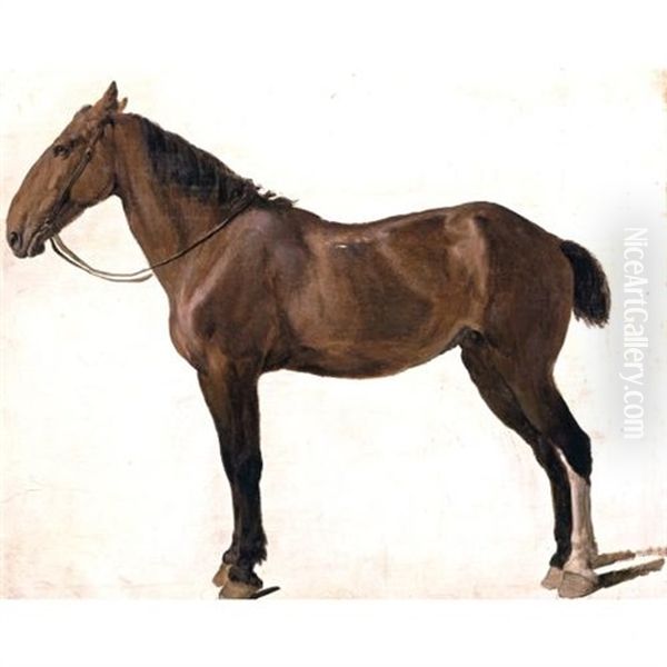 Portrait Of A Horse Oil Painting by Jacques-Laurent Agasse