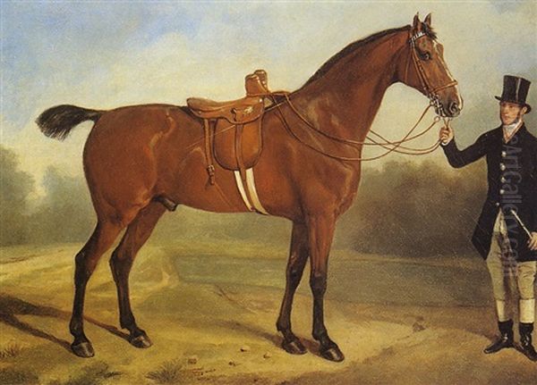 Portrait D'un Cheval Selle Oil Painting by Jacques-Laurent Agasse