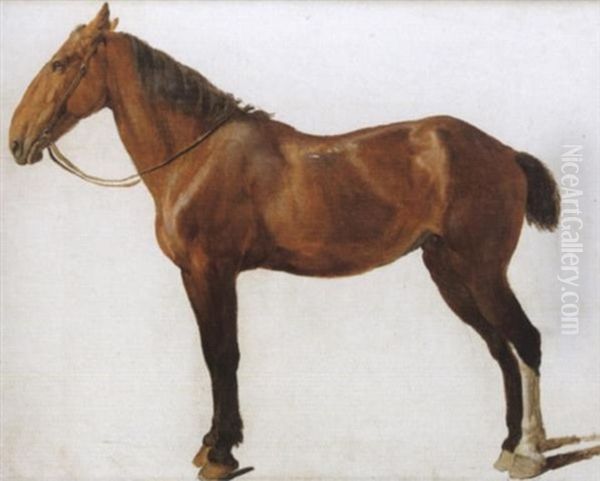 Studie Zu Einem Braunen Oil Painting by Jacques-Laurent Agasse