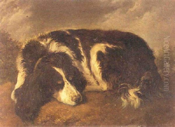 Portrait D'une Chienne: Minerve Oil Painting by Jacques-Laurent Agasse