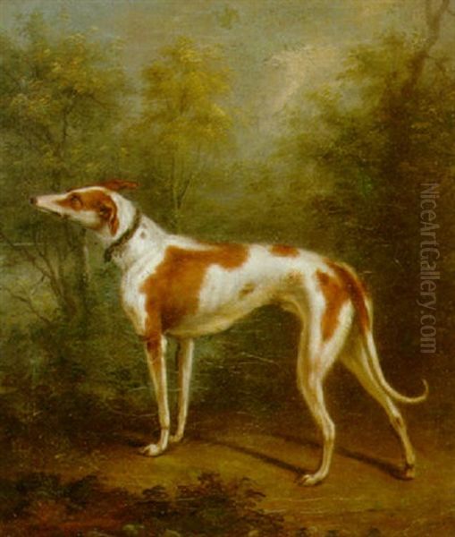 A Hound In A Wooded Landscape Oil Painting by Jacques-Laurent Agasse