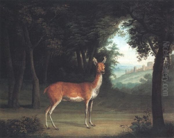 A Red Deer In A Wood Oil Painting by Jacques-Laurent Agasse