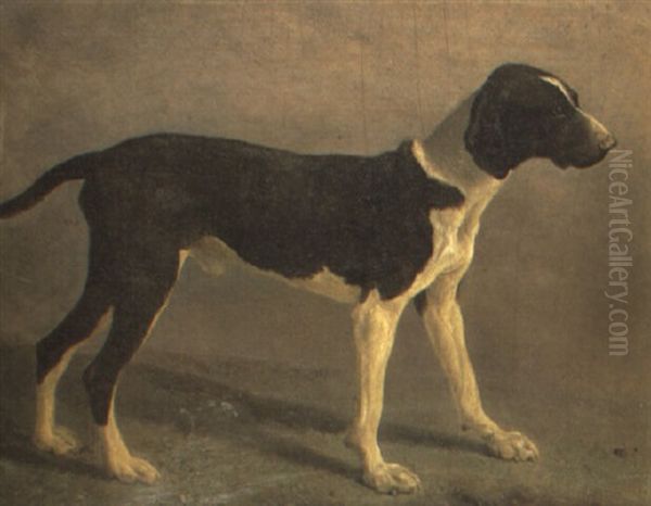 A Pointer by Jacques-Laurent Agasse