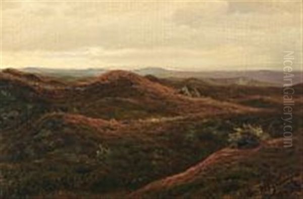 Moorland Near Svinklov In North Jutland Oil Painting by Hans Mortensen Agersnap