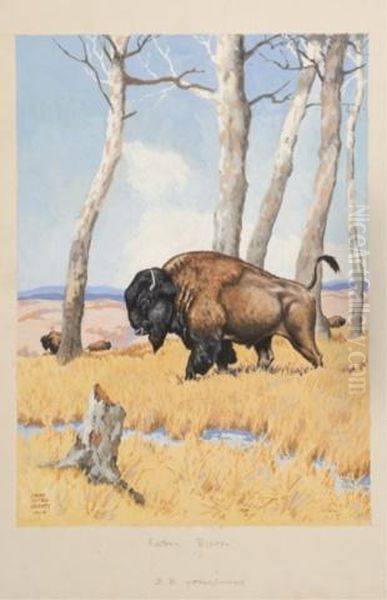 Bison In A Field Oil Painting by Jacob Bates Abbott