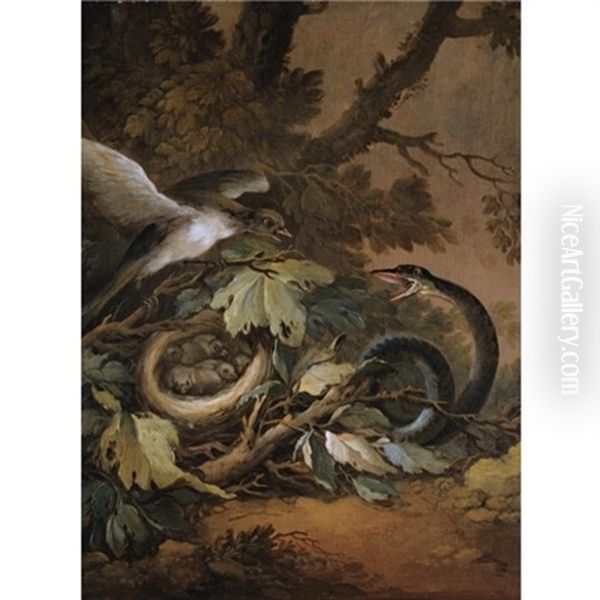 A Still Life With A Viper And A Bird's Nest Oil Painting by Christoph Ludwig Agricola