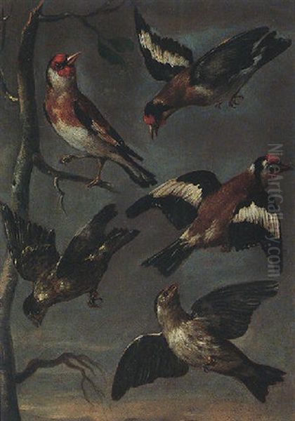 Goldcrests And Finches by Christoph Ludwig Agricola