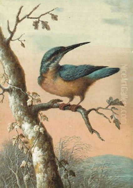 Eisvogel Auf Einem Winterlich Kahlen Ast Oil Painting by Christoph Ludwig Agricola