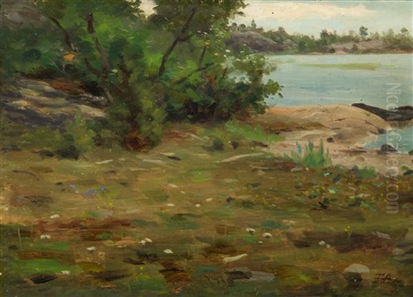 Shore Oil Painting by Fredrik Ahlstedt