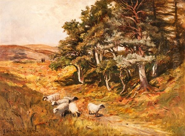 Schottische Landschaft Mit Schafen Oil Painting by George W. Aikman