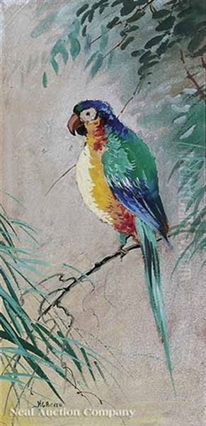 Green-winged Macaw (+ 3 Others; 4 Works) by Harry G. Aitken