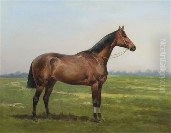 Race Horse Oil Painting by Tadeusz Ajdukiewicz