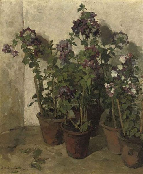 Pots With Purple Flowers Oil Painting by Johannes Evert Hendrik Akkeringa