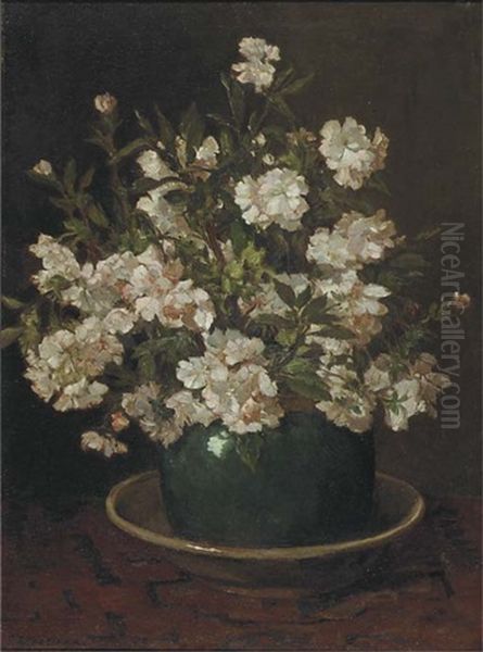 Azalea In An Earthenware Pot Oil Painting by Johannes Evert Hendrik Akkeringa