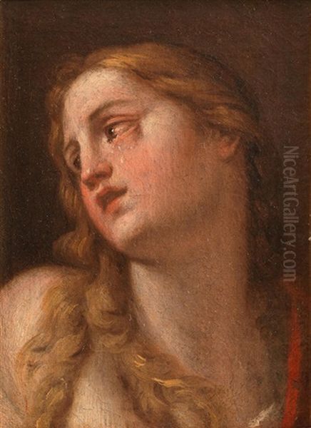 The Penitent Magdalene Oil Painting by Francesco Albani