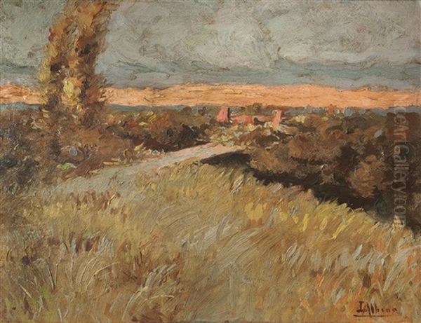 Paisaje De Campo Oil Painting by Luca Albino