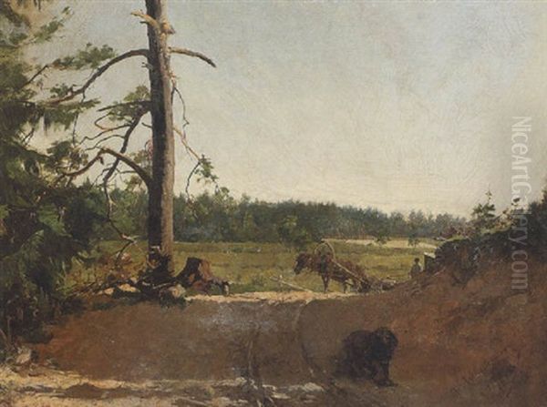 Waldlichtung Oil Painting by Kazimierz Alchimowicz