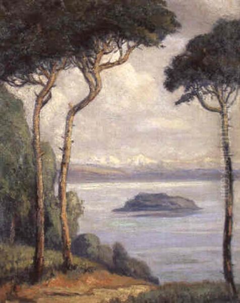 Blick Auf Den Bielersee Und Die Alpen Oil Painting by Emile Alder