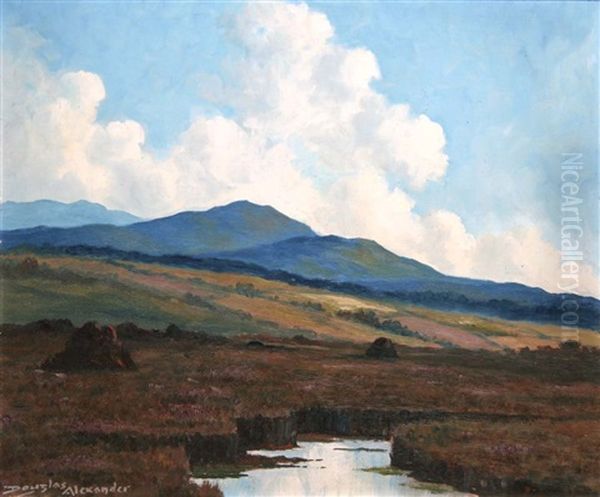 Near Recess, Connemara Oil Painting by Douglas Alexander