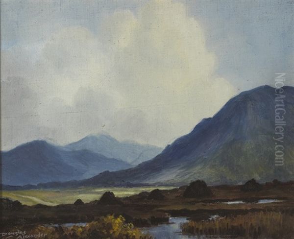 Turf Stacks, Near Leenane, Connemara Oil Painting by Douglas Alexander