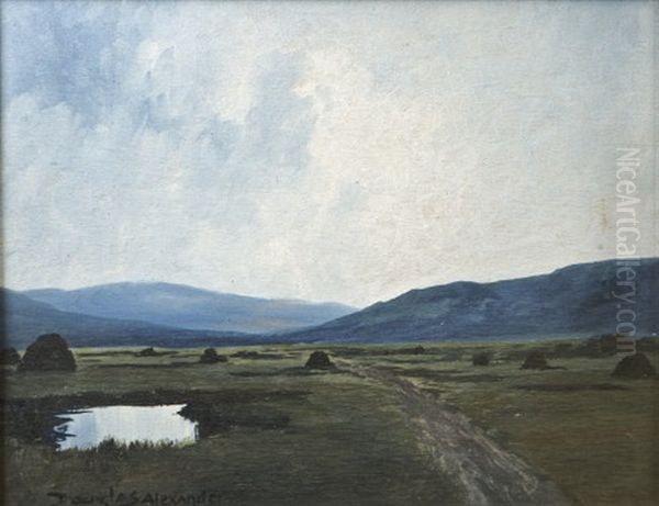 Bog, Donegal Oil Painting by Douglas Alexander