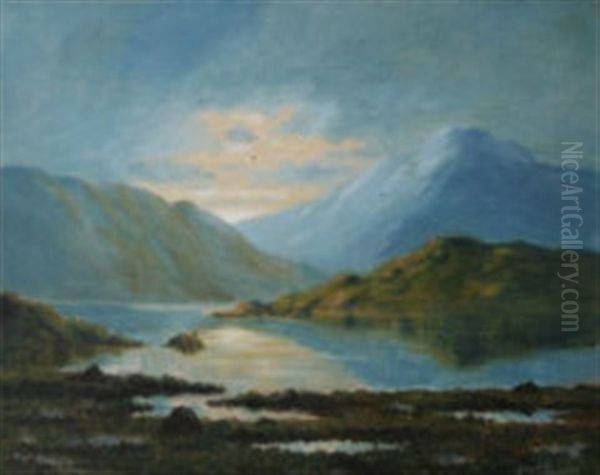 Evening On Killary, Connemara Oil Painting by Douglas Alexander