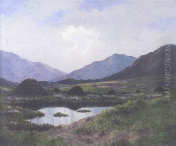 Connemara Landscape At Recess Oil Painting by Douglas Alexander