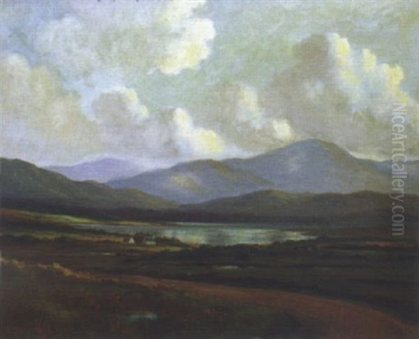 Near Ballinahinch Connemara Oil Painting by Douglas Alexander