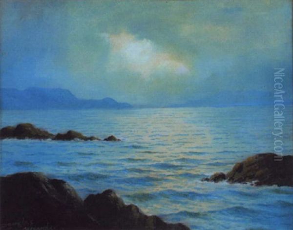 Kerry Coast Near Waterville Oil Painting by Douglas Alexander