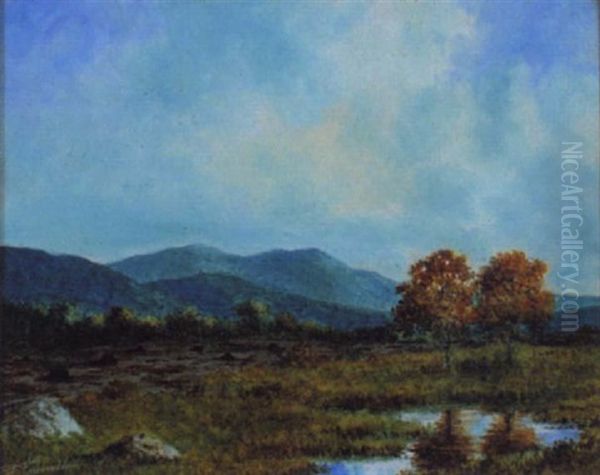 Near Abbeyleix, Queens County Oil Painting by Douglas Alexander