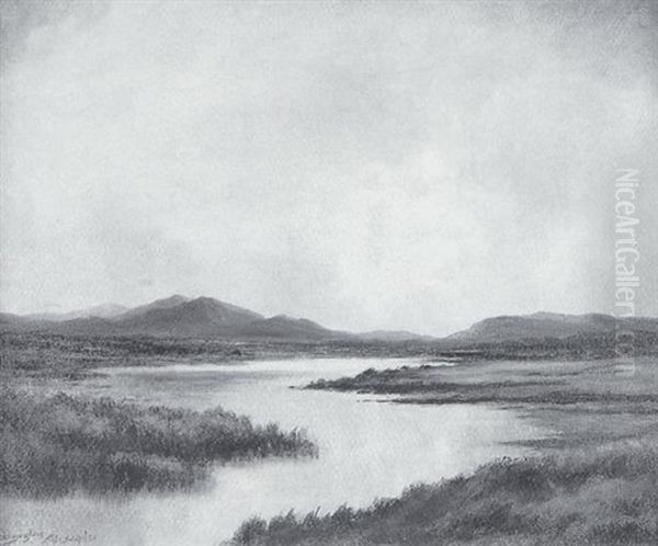 Bog Stream Near Ougterard, Connemara Oil Painting by Douglas Alexander