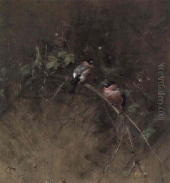 Bullfinches In A Blackberry Thicket Oil Painting by Edwin John Alexander