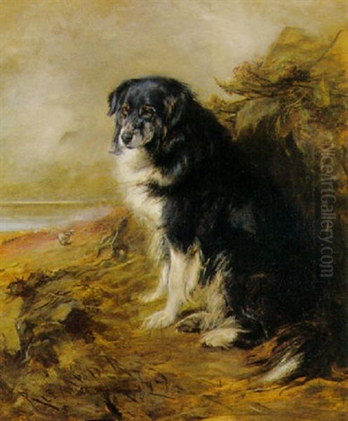 A Collie Oil Painting by Robert L. Alexander