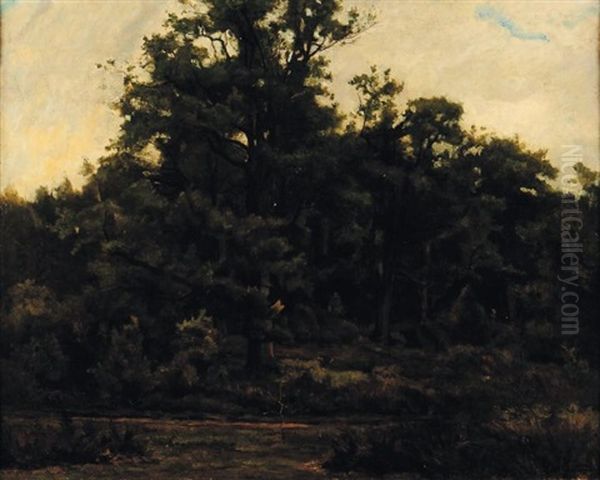 Paysage De Foret Oil Painting by Gustave Allemand