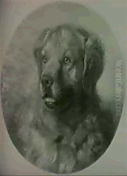 Hundeportrait by Sigmund L' Allemand