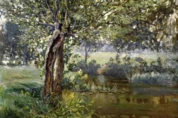 Arbres En Bordure De Riviere by Auguste Allonge