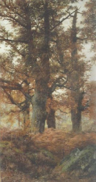 Un Coin Du Plateau De La Mare Aux Fees - Foret De Fontainebleau Oil Painting by Auguste Allonge