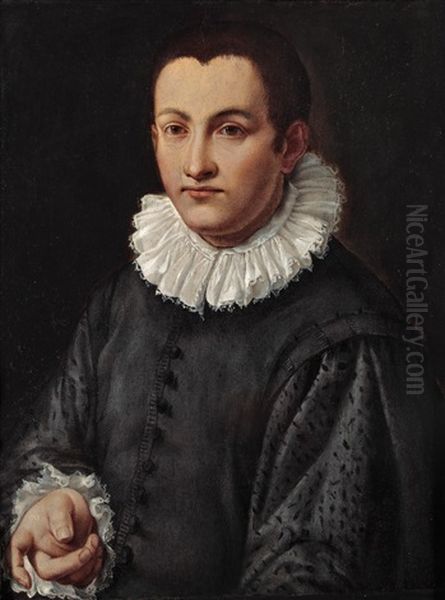 Halbfiguriges Bildnis Eines Jungen Mannes Oil Painting by Alessandro di Cristofano Allori